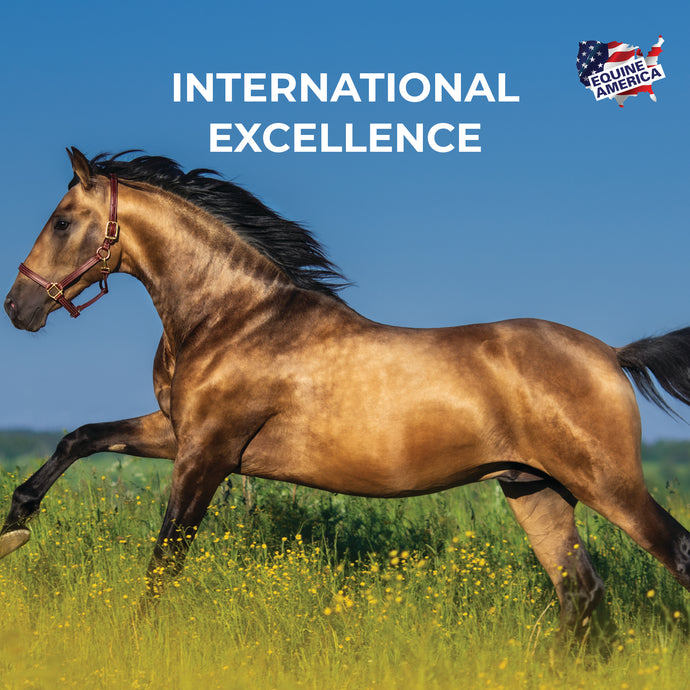 EQUINE AMERICA UK Now Available in the UAE through The Veterinary Group