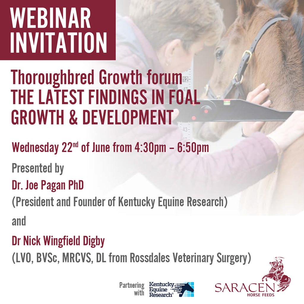 SARACEN HORSE FEEDS WEBINAR INVITATION