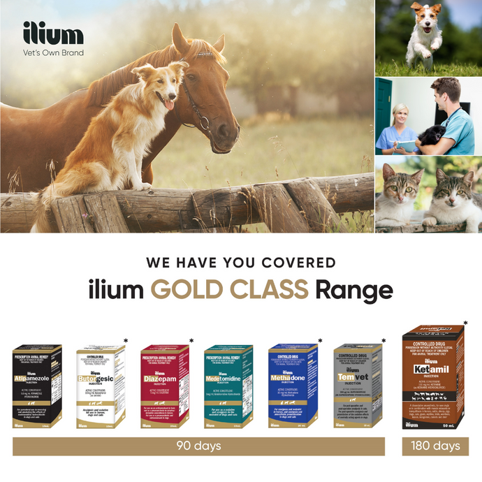 Ilium Gold Class Range – Leading the Way in Pain Relief