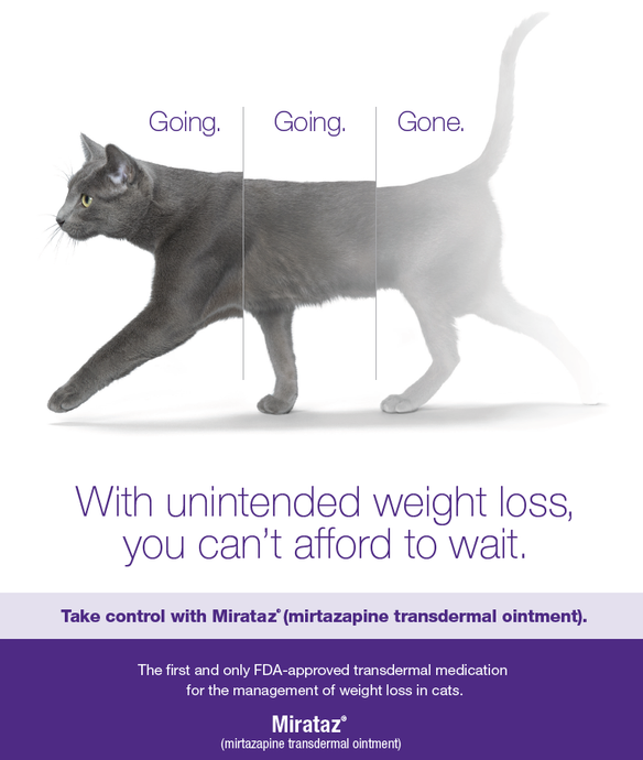 MIRATAZ- the first licensed veterinary medicinal product for body weight gain in cats experiencing poor appetite