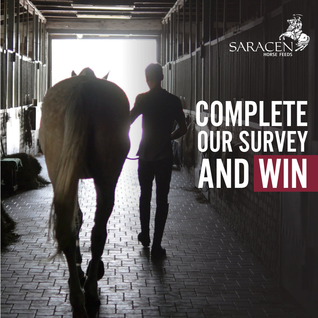 WHAT ARE YOUR FEED CHALLENGES FOR YOUR HORSE THIS SUMMER?