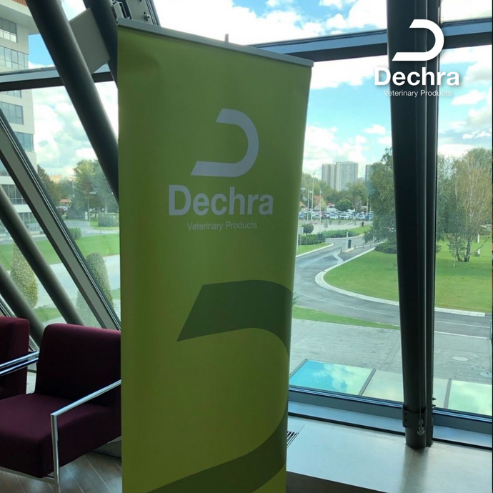 Dechra Distributor Meeting in Belgrade, Serbia  (September 2022)