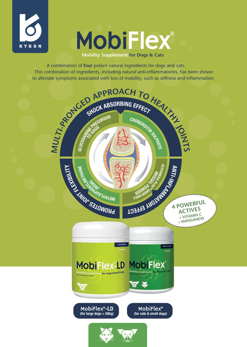 MobiFlex®from Kyron Labs: The Natural Solution for Pet Joint Health and Mobility