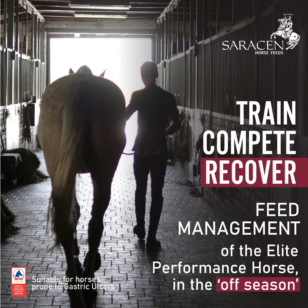 FEED MANAGEMENT OF THE PERFORMANCE HORSE IN OFF SEASON