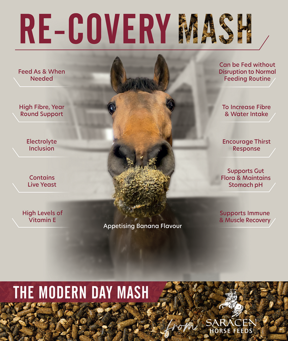 REACH FOR RE-COVERY MASH