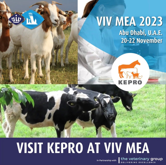 KEPRO B.V. Veterinary Solutions Joins TVG at VIV MEA 2023