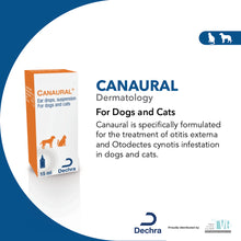 Load image into Gallery viewer, Canaural