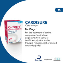 Load image into Gallery viewer, Cardisure® flavoured Tablets