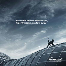 Load image into Gallery viewer, Felimazole® Coated Tablets (methimazole/Thiamazole)