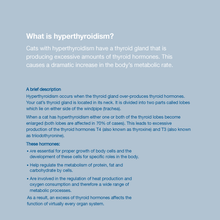 Load image into Gallery viewer, Felimazole® Coated Tablets (methimazole/Thiamazole)