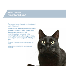 Load image into Gallery viewer, Felimazole® Coated Tablets (methimazole/Thiamazole)