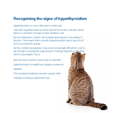 Load image into Gallery viewer, Felimazole® Coated Tablets (methimazole/Thiamazole)