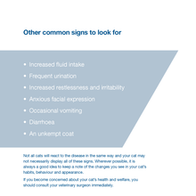 Load image into Gallery viewer, Felimazole® Coated Tablets (methimazole/Thiamazole)