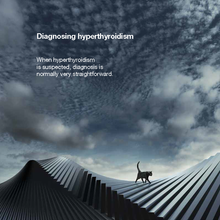 Load image into Gallery viewer, Felimazole® Coated Tablets (methimazole/Thiamazole)