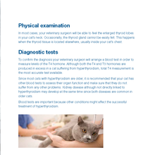 Load image into Gallery viewer, Felimazole® Coated Tablets (methimazole/Thiamazole)