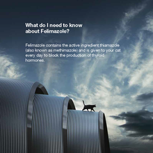 Load image into Gallery viewer, Felimazole® Coated Tablets (methimazole/Thiamazole)