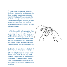 Load image into Gallery viewer, Felimazole® Coated Tablets (methimazole/Thiamazole)