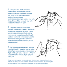 Load image into Gallery viewer, Felimazole® Coated Tablets (methimazole/Thiamazole)