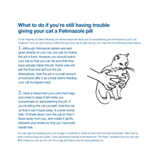 Load image into Gallery viewer, Felimazole® Coated Tablets (methimazole/Thiamazole)