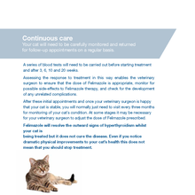 Load image into Gallery viewer, Felimazole® Coated Tablets (methimazole/Thiamazole)