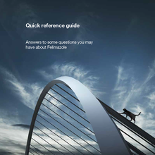 Load image into Gallery viewer, Felimazole® Coated Tablets (methimazole/Thiamazole)