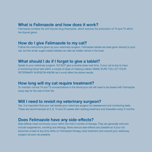 Load image into Gallery viewer, Felimazole® Coated Tablets (methimazole/Thiamazole)