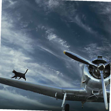 Load image into Gallery viewer, Felimazole® Coated Tablets (methimazole/Thiamazole)