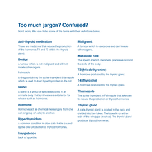 Load image into Gallery viewer, Felimazole® Coated Tablets (methimazole/Thiamazole)