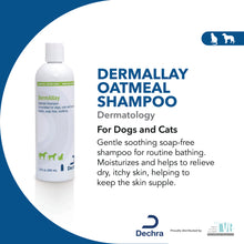 Load image into Gallery viewer, DermAllay® Oatmeal Shampoo
