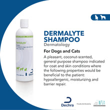 Load image into Gallery viewer, DermaLyte® Shampoo
