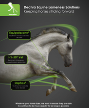 Load image into Gallery viewer, Equipalazone® Oral Powder