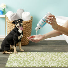 Load image into Gallery viewer, DermaBenSs® Shampoo