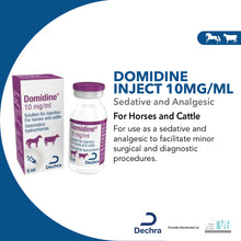 Load image into Gallery viewer, Domidine® Injection