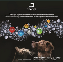 Load image into Gallery viewer, Felimazole® Coated Tablets (methimazole/Thiamazole)