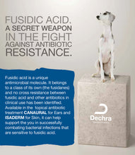 Load image into Gallery viewer, Canaural