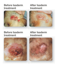 Load image into Gallery viewer, Isaderm Gel