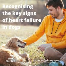 Load image into Gallery viewer, Cardisure® flavoured Tablets