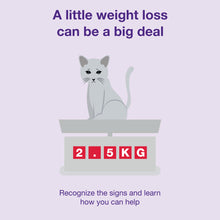 Load image into Gallery viewer, Mirataz® (mirtazapine transdermal ointment)