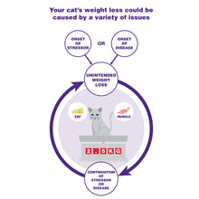 Load image into Gallery viewer, Mirataz® (mirtazapine transdermal ointment)