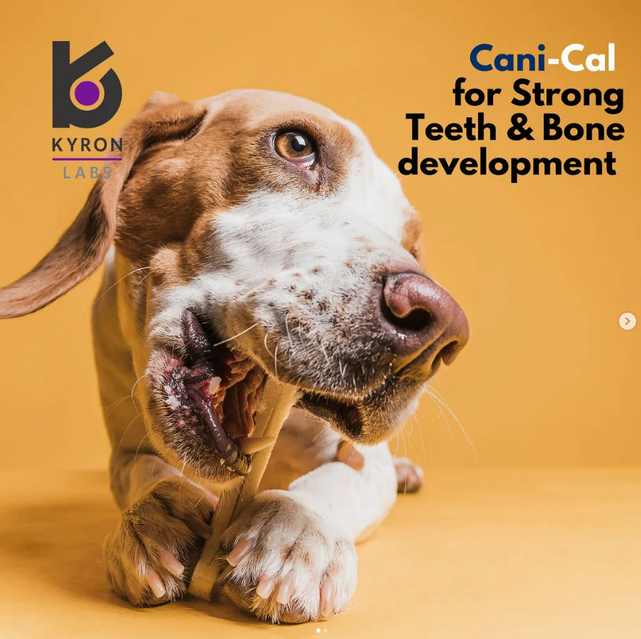 Cani-Cal Calcium Supplement 250g