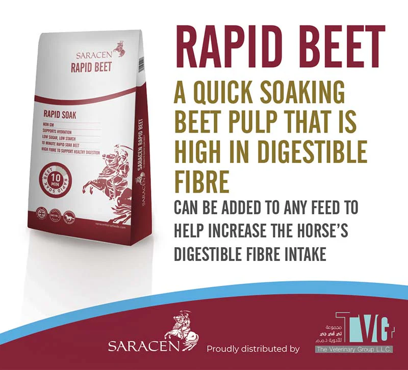 SARACEN RAPID BEET