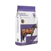 SARACEN CONDITION-IMPROVER MIX 