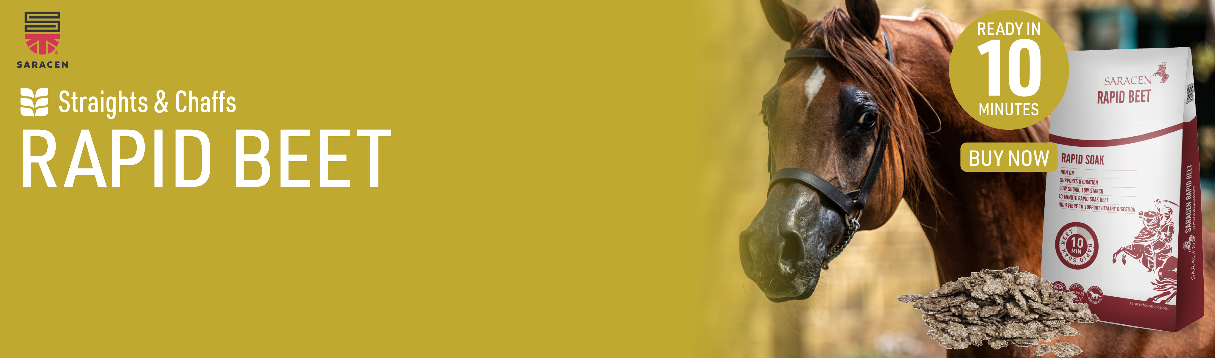 saracen rapid beet 