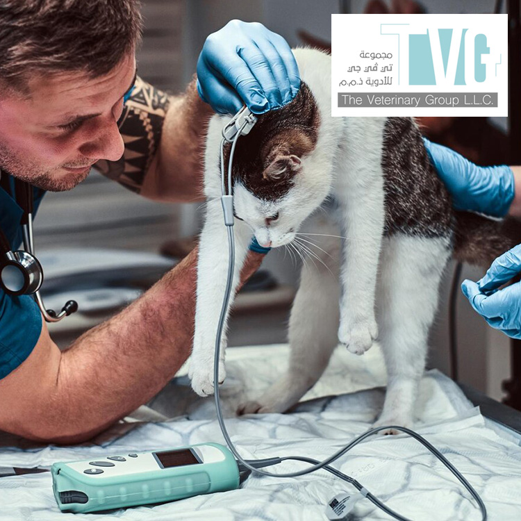 Top Veterinary Suppliers in the UAE