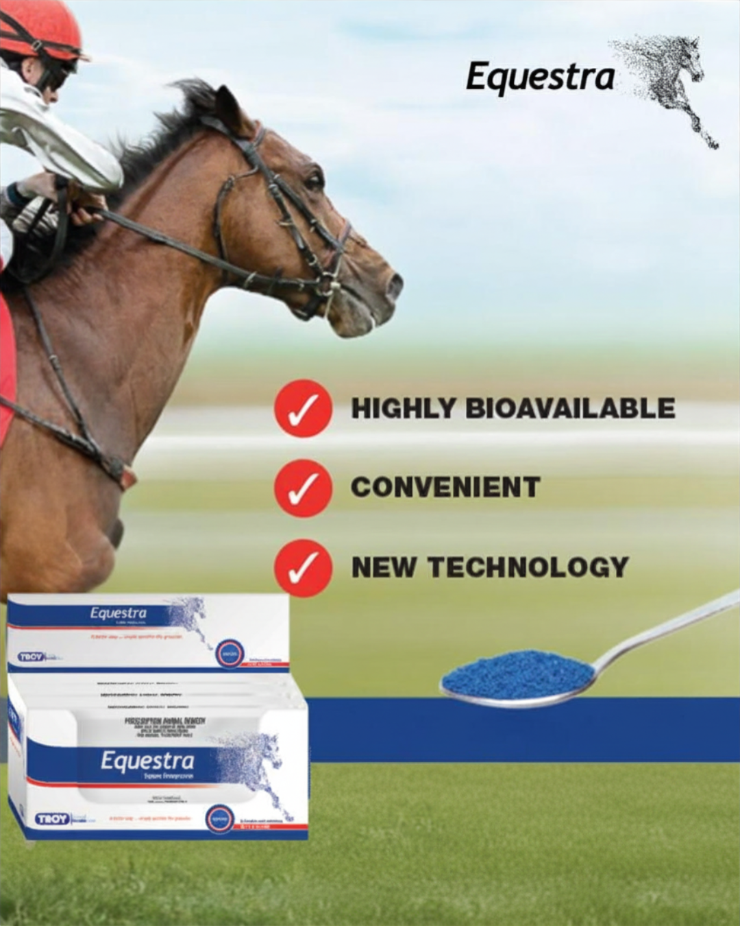 Equine gastric ulcers are one of the most common causes of poor performance in horses in the UAE. Effective treatment relies on consistent acid suppression, with omeprazole remaining the gold standard.