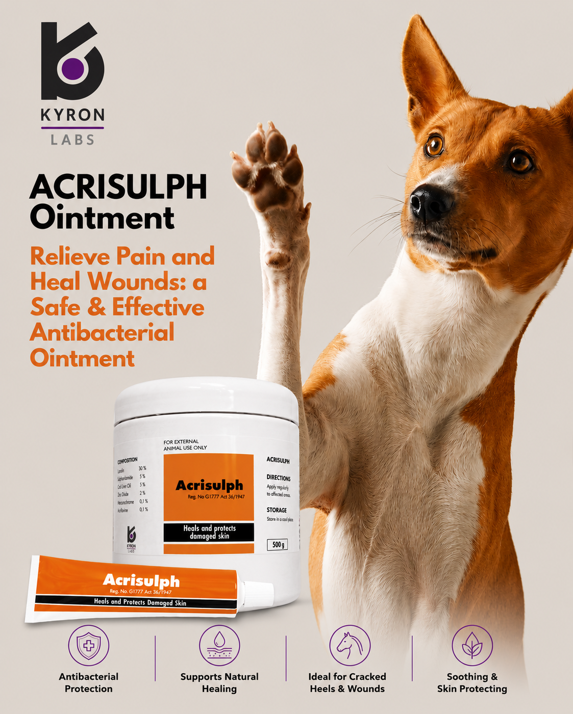 Acrisulph® Ointment for Animals: A Trusted Solution for Superficial Wounds, Burns and Cracked Heels