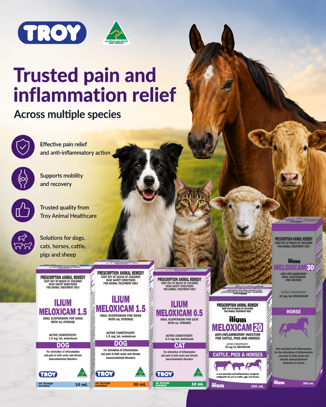 Ilium Meloxicam: Broad-Spectrum Pain and Inflammation Relief Across Multiple Animal Species