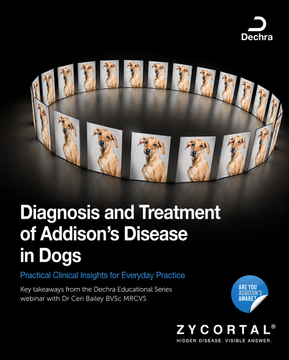 Diagnosis and Treatment of Addison's Disease in Dogs: Practical Clinical Insights from the Dechra Educational Series
